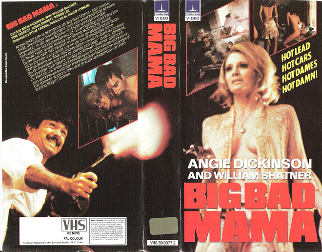 BIG BAD MAMA, BIG BOX, HORROR, ACTION EXPLOITATION, ACTION, HORROR, SCI-FI, MUSIC, THRILLER, SEX COMEDY,  DRAMA, SEXPLOITATION, VHS COVER, VHS COVERS, DVD COVER, DVD COVERS