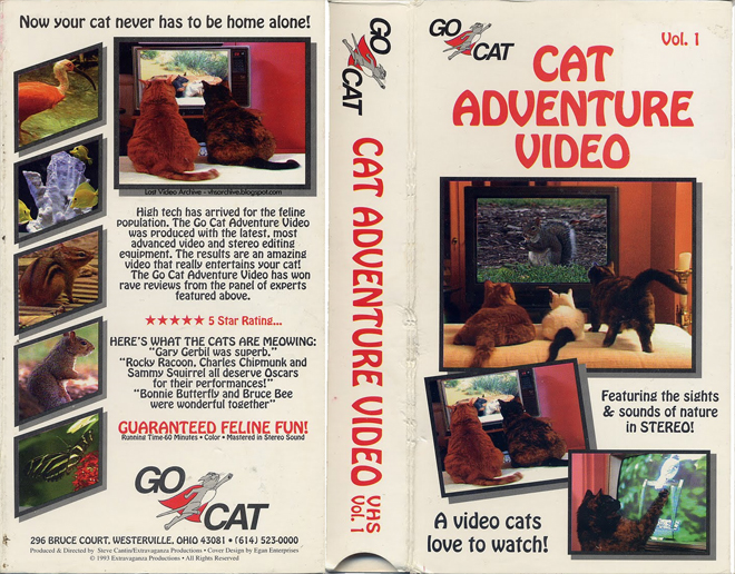 CAT ADVENTURE VIDEO VHS COVER