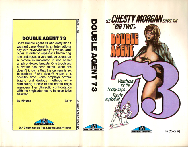 DOUBLE AGENT 73 WITH CHESTY MORGAN VHS COVER