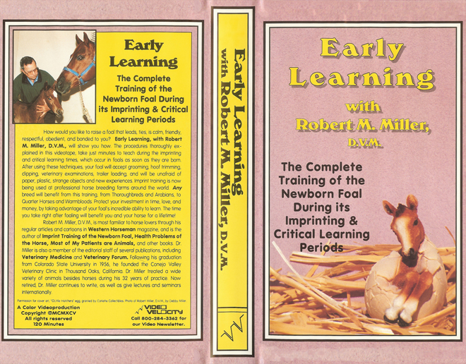 EARLY LEARNING WITH ROBERT M MILLER, HORROR, BLAXPLOITATION, HORROR, ACTION EXPLOITATION, SCI-FI, MUSIC, SEX COMEDY, DRAMA, SEXPLOITATION, VHS COVER, VHS COVERS, DVD COVER, DVD COVERS