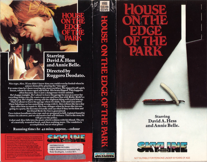 HOUSE ON THE EDGE OF THE PARK VHS COVER