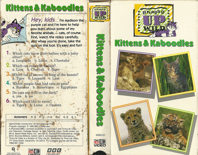 KITTENS AND KABOODIES GROWING UP WILD VHS COVER