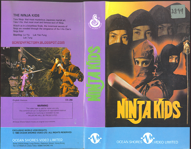 NINJA KIDS VHS COVER