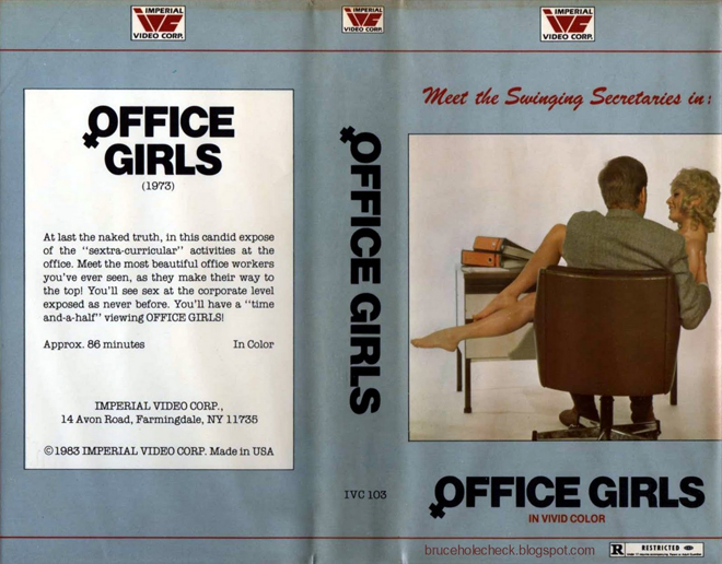OFFICE GIRLS VHS COVER