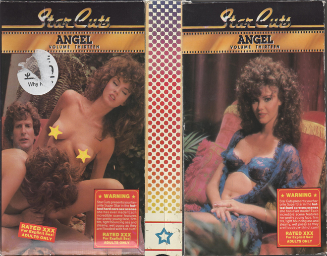 STAR CUTS : ANGEL VOLUME THIRTEEN VHS COVER