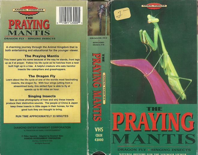 THE PRAYING MANTIS VHS COVER