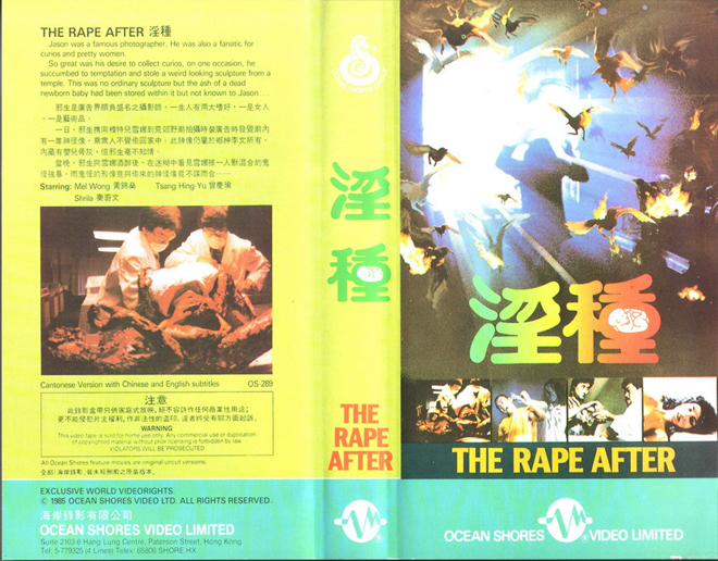 THE RAPE AFTER JAPAN, ACTION VHS COVER, HORROR VHS COVER, BLAXPLOITATION VHS COVER, HORROR VHS COVER, ACTION EXPLOITATION VHS COVER, SCI-FI VHS COVER, MUSIC VHS COVER, SEX COMEDY VHS COVER, DRAMA VHS COVER, SEXPLOITATION VHS COVER, BIG BOX VHS COVER, CLAMSHELL VHS COVER, VHS COVER, VHS COVERS, DVD COVER, DVD COVERS