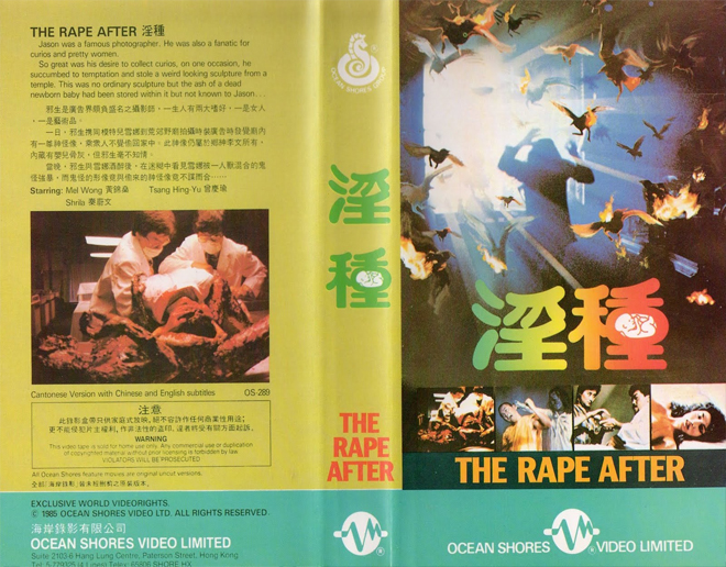 THE RAPE AFTER VHS COVER