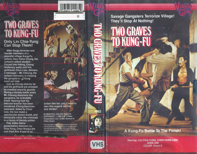 TWO GRAVES TO KUNG FU, HORROR, BLAXPLOITATION, HORROR, ACTION EXPLOITATION, SCI-FI, MUSIC, SEX COMEDY, DRAMA, SEXPLOITATION, VHS COVER, VHS COVERS, DVD COVER, DVD COVERS