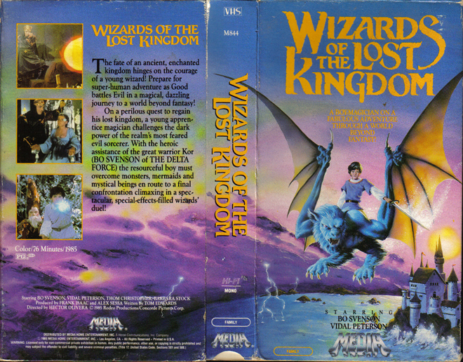 WIZARDS OF THE LOST KINGDOM, HORROR, ACTION EXPLOITATION, ACTION, HORROR, SCI-FI, MUSIC, THRILLER, SEX COMEDY,  DRAMA, SEXPLOITATION, VHS COVER, VHS COVERS, DVD COVER, DVD COVERS