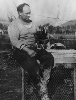 Tennessee Serial Killer 1902 Tennessee Serial Killer 1902